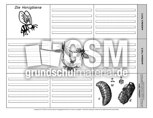 Leporello-Honigbiene-2-1-2.pdf